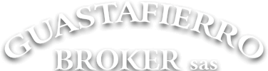 Guastafierro Broker sas, home